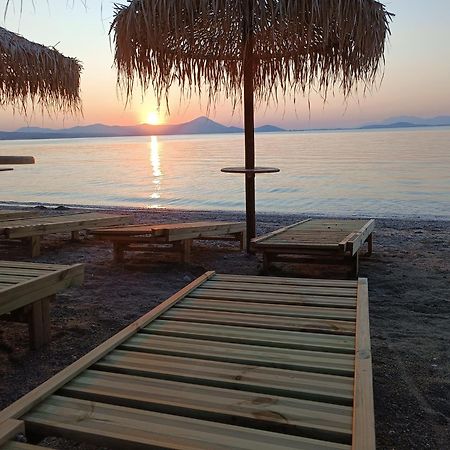 Μοντέρνα Εξοχική Μονοκατοικία Με Ιδιωτική Πισίνα! Halkúci Kültér fotó