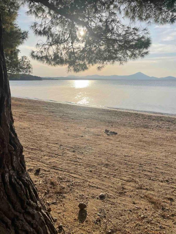 Μοντέρνα Εξοχική Μονοκατοικία Με Ιδιωτική Πισίνα! Halkúci Kültér fotó